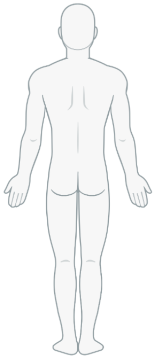 Body survey back view (male)